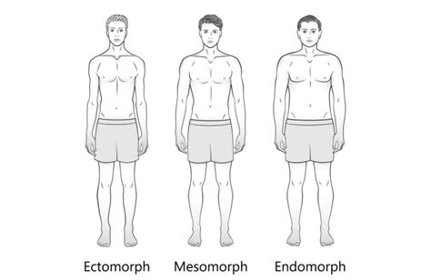 stalky men|The 3 Male Body Types: Characteristics, Examples